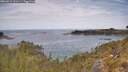 ./images/calvert/foggy-cove/20260512/foggy-cove20260512_121501M.jpg