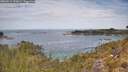 ./images/calvert/foggy-cove/20260512/foggy-cove20260512_122001M.jpg