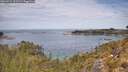 ./images/calvert/foggy-cove/20260512/foggy-cove20260512_122502M.jpg