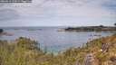 ./images/calvert/foggy-cove/20260512/foggy-cove20260512_123002M.jpg