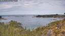 ./images/calvert/foggy-cove/20260512/foggy-cove20260512_123501M.jpg