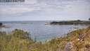 ./images/calvert/foggy-cove/20260512/foggy-cove20260512_124001M.jpg