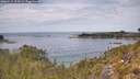 ./images/calvert/foggy-cove/20260512/foggy-cove20260512_124501M.jpg