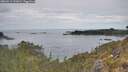 ./images/calvert/foggy-cove/20260512/foggy-cove20260512_131002M.jpg