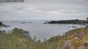 ./images/calvert/foggy-cove/20260512/foggy-cove20260512_131501M.jpg