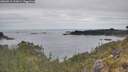 ./images/calvert/foggy-cove/20260512/foggy-cove20260512_132001M.jpg