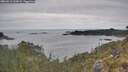 ./images/calvert/foggy-cove/20260512/foggy-cove20260512_133002M.jpg