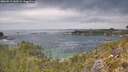 ./images/calvert/foggy-cove/20260512/foggy-cove20260512_140501M.jpg