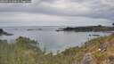 ./images/calvert/foggy-cove/20260512/foggy-cove20260512_143001M.jpg