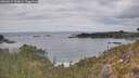 ./images/calvert/foggy-cove/20260512/foggy-cove20260512_151001M.jpg