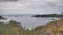 ./images/calvert/foggy-cove/20260512/foggy-cove20260512_153001M.jpg