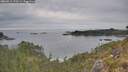 ./images/calvert/foggy-cove/20260512/foggy-cove20260512_172501M.jpg