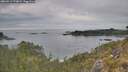 ./images/calvert/foggy-cove/20260512/foggy-cove20260512_173001M.jpg