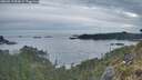 ./images/calvert/foggy-cove/20260513/foggy-cove20260513_054501M.jpg