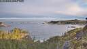 ./images/calvert/foggy-cove/20260513/foggy-cove20260513_065002M.jpg