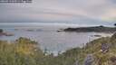./images/calvert/foggy-cove/20260513/foggy-cove20260513_065501M.jpg