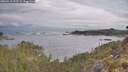 ./images/calvert/foggy-cove/20260513/foggy-cove20260513_072501M.jpg