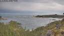./images/calvert/foggy-cove/20260513/foggy-cove20260513_074002M.jpg