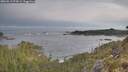 ./images/calvert/foggy-cove/20260513/foggy-cove20260513_074501M.jpg