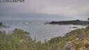 ./images/calvert/foggy-cove/20260513/foggy-cove20260513_075001M.jpg