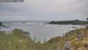 ./images/calvert/foggy-cove/20260513/foggy-cove20260513_081001M.jpg