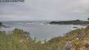 ./images/calvert/foggy-cove/20260513/foggy-cove20260513_081501M.jpg