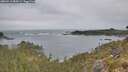 ./images/calvert/foggy-cove/20260513/foggy-cove20260513_082001M.jpg