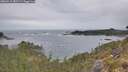 ./images/calvert/foggy-cove/20260513/foggy-cove20260513_082501M.jpg