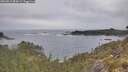 ./images/calvert/foggy-cove/20260513/foggy-cove20260513_083001M.jpg