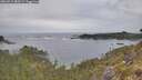 ./images/calvert/foggy-cove/20260513/foggy-cove20260513_083501M.jpg