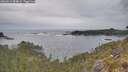 ./images/calvert/foggy-cove/20260513/foggy-cove20260513_084001M.jpg
