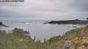 ./images/calvert/foggy-cove/20260513/foggy-cove20260513_084501M.jpg