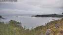 ./images/calvert/foggy-cove/20260513/foggy-cove20260513_085501M.jpg