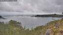 ./images/calvert/foggy-cove/20260513/foggy-cove20260513_091501M.jpg
