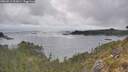 ./images/calvert/foggy-cove/20260513/foggy-cove20260513_092001M.jpg