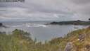 ./images/calvert/foggy-cove/20260513/foggy-cove20260513_094501M.jpg