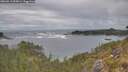 ./images/calvert/foggy-cove/20260513/foggy-cove20260513_095001M.jpg