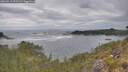 ./images/calvert/foggy-cove/20260513/foggy-cove20260513_101501M.jpg