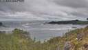 ./images/calvert/foggy-cove/20260513/foggy-cove20260513_104501M.jpg