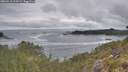 ./images/calvert/foggy-cove/20260513/foggy-cove20260513_105001M.jpg