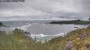 ./images/calvert/foggy-cove/20260513/foggy-cove20260513_110501M.jpg