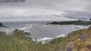 ./images/calvert/foggy-cove/20260513/foggy-cove20260513_111001M.jpg