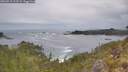 ./images/calvert/foggy-cove/20260513/foggy-cove20260513_113501M.jpg