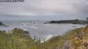 ./images/calvert/foggy-cove/20260513/foggy-cove20260513_114002M.jpg