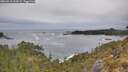 ./images/calvert/foggy-cove/20260513/foggy-cove20260513_114501M.jpg
