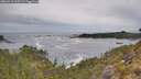 ./images/calvert/foggy-cove/20260513/foggy-cove20260513_115501M.jpg