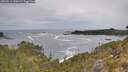 ./images/calvert/foggy-cove/20260513/foggy-cove20260513_120501M.jpg