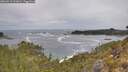 ./images/calvert/foggy-cove/20260513/foggy-cove20260513_121001M.jpg