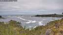 ./images/calvert/foggy-cove/20260513/foggy-cove20260513_123002M.jpg