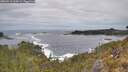 ./images/calvert/foggy-cove/20260513/foggy-cove20260513_124501M.jpg